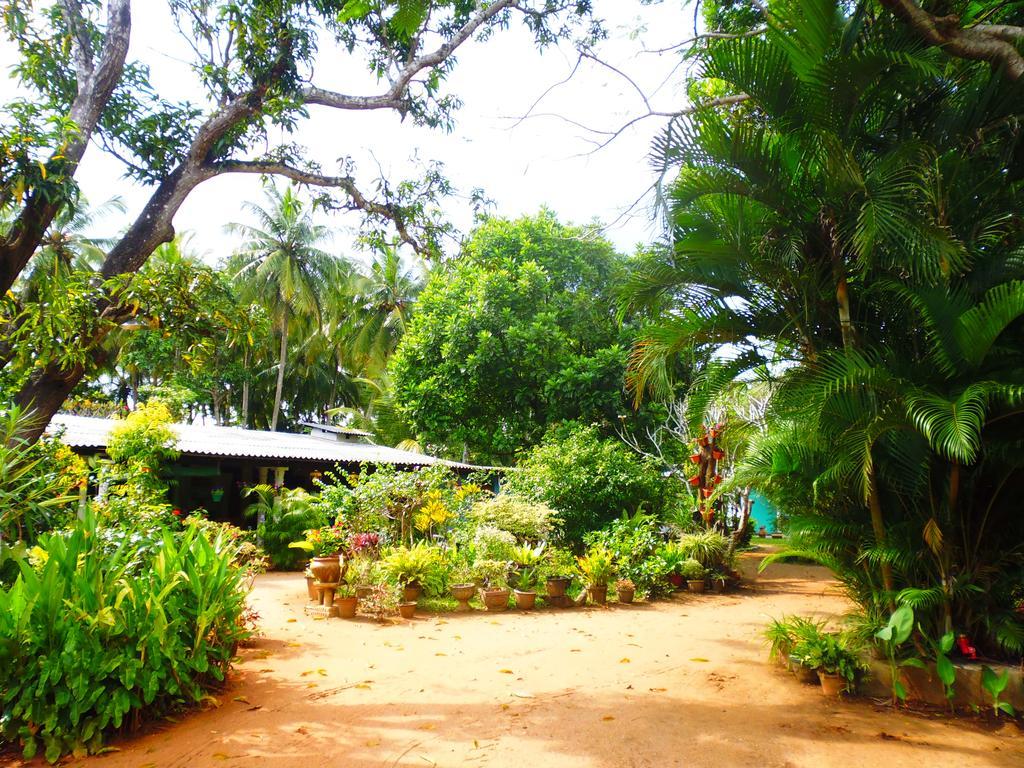 The Nilmini Lodge Sigiriya Exterior foto